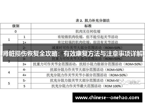 肾脏损伤恢复全攻略:有效康复方法与注意事项详解 肾脏损伤恢复全攻略:有效康复方法与注意事项详解