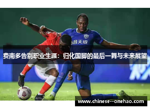 费南多告别职业生涯:归化国脚的最后一舞与未来展望 费南多告别职业生涯:归化国脚的最后一舞与未来展望
